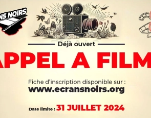 ECRANS NOIRS 2024 - APPEL A FILMS